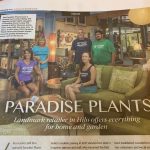 Paradise Plants article November 2019