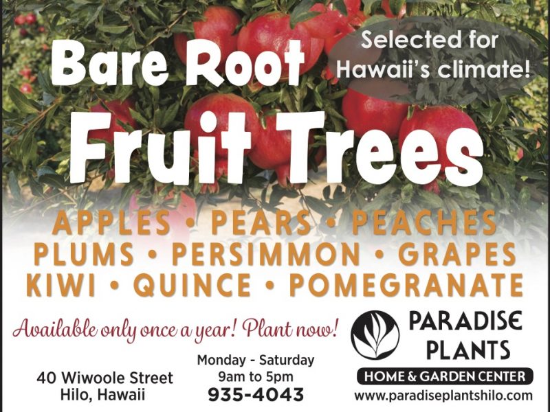 Bare Root Fruit Trees 2021