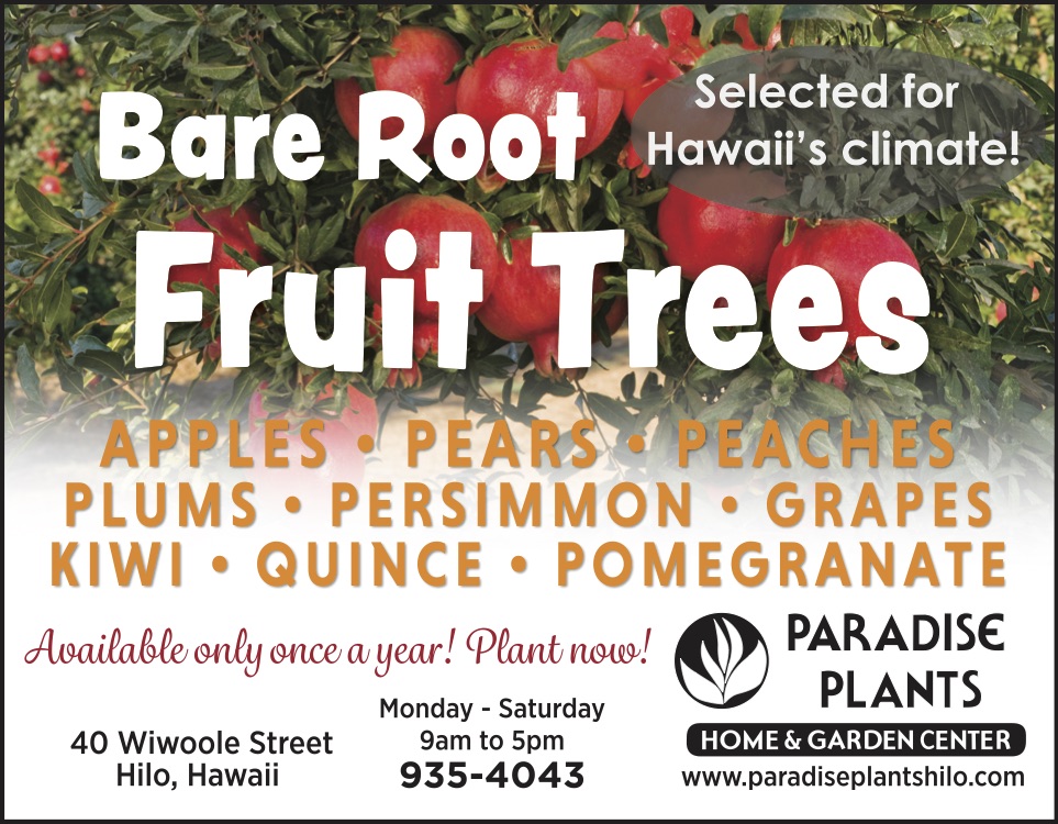 Bare Root Fruit Trees 2021