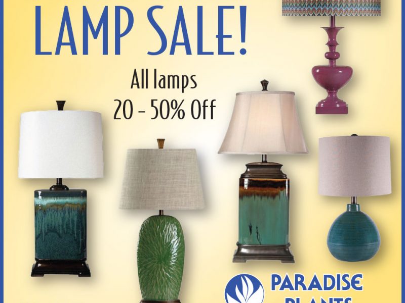 Big Lamp Sale!